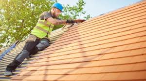 Best Solar Panel Roofing Installation  in Leupp, AZ