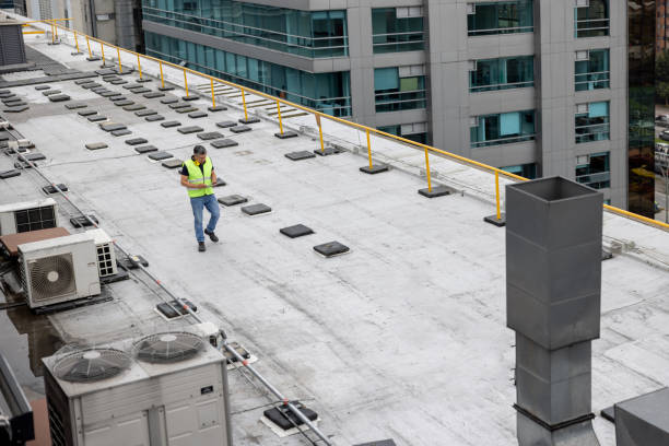 Best Roof Insulation Installation  in Leupp, AZ