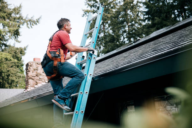 Best Roof Coating and Sealing  in Leupp, AZ